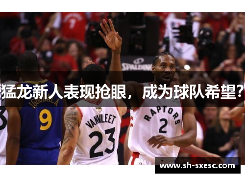 猛龙新人表现抢眼，成为球队希望？