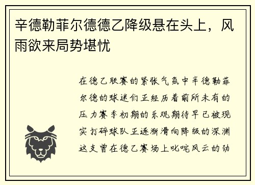 辛德勒菲尔德德乙降级悬在头上，风雨欲来局势堪忧