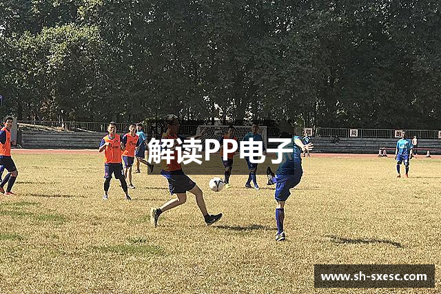 解读PP电子
